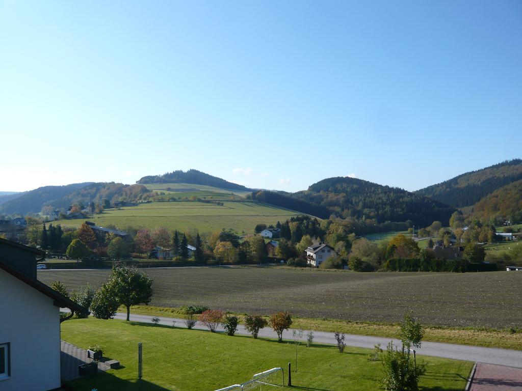 Villa Haus Talblick Willingen  Exterior foto