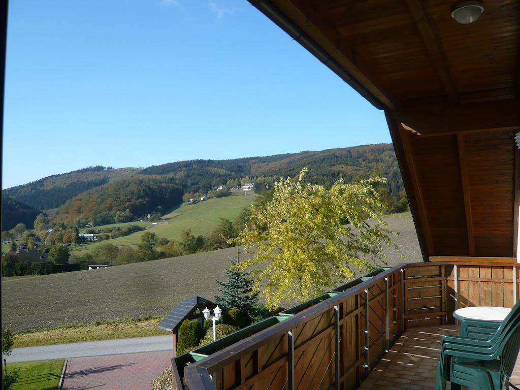 Villa Haus Talblick Willingen  Exterior foto